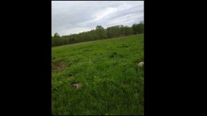 Западная Двина