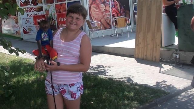 какая хорошенькая пффф смотреть онлайн