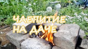 чаепитие на даче.mp4