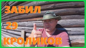 Забил на мясо 29 кроликов ,наш сад огород и другие новости из деревни.