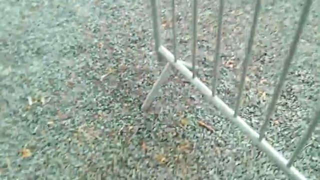 САМЫЕ КРАСИВЫЕ ЛОШАДИ С ТЕЛЕГОЙ ЧАСТЬ 1 /CONDÉ SUR VIRE / SAINT-LÔ TOUS EN SHORT смотреть онлайн