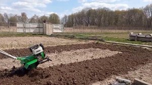 ВЛОГ. САША ПАШЕТ - МЫ САЖАЕМ . #мотоблок "варяг"