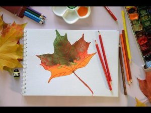 Рисование с натуры "Осенний кленовый лист". Видеоурок для детей.