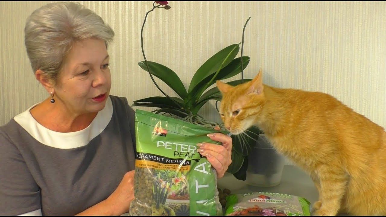 КЕРАМЗИТ для КОРНЕЙ Орхидеи. ПЕРЕСАДИТЬ или НЕТ??? КАКОЙ Керамзит? ПОЧЕМУ? ГДЕ Купить? МОЙ ОПЫТ... смотреть онлайн