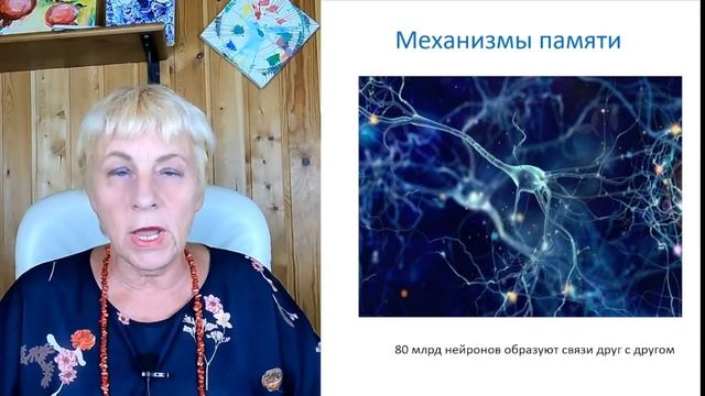 Что помогает улучшить память? | Почему не помогают мозгокачки