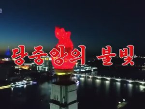 Песня КНДР — Огни ЦК партии — кавер на аккордеоне Weltmeister 당중앙의 불빛