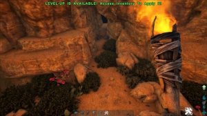 Топ места под базу Lost Island | ARK NEW DLC Часть 1