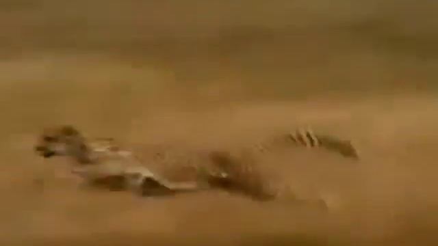 только со стула не падай смотреть онлайн