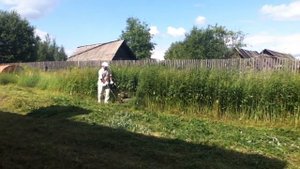 Колесный триммер Swisher и высокий бурьян.