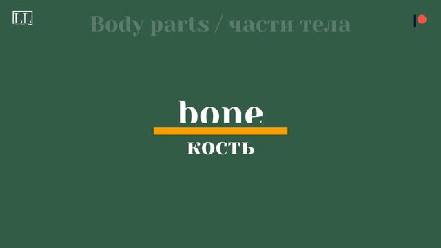СЛОВАРНЫЙ ЗАПАС, ЧАСТИ ТЕЛА, 90 ПОЛЕЗНЫХ АНГЛИЙСКИХ СЛОВ смотреть онлайн