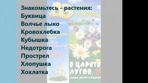 Виртуальное путешествие с журналом “Детская энциклопедия” «Как прекрасен этот мир…»