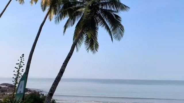 Bambolim Beach Resort in Goa | Full resort and room tour | Goa Travel | смотреть онлайн