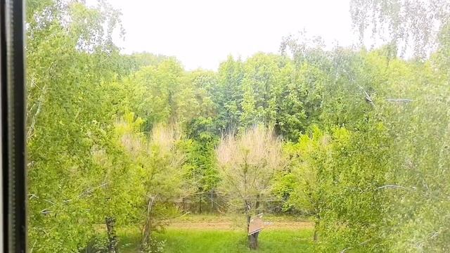 ЖК "Бавария"