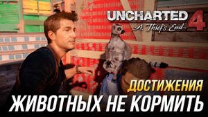Достижения Uncharted 4: A Thief's End - Животных не кормить
