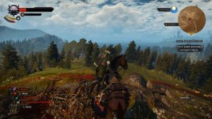 Броня и Дискриминация: ЧАСТЬ 35 (Прохождение The Witcher 3: Wild Hunt)