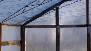 Самодельная теплица 6х12 для помидоров и огурцов