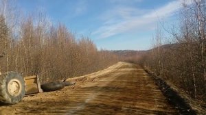 МЕЧЕЛ отзыв Эльгауголь3