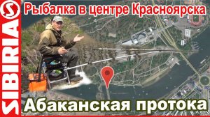 Ловля в центре Красноярска Рыбалка на абаканской протоке остров Отдыха