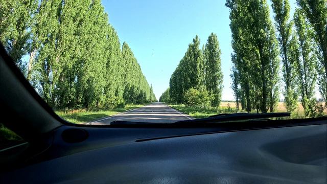 залипашка