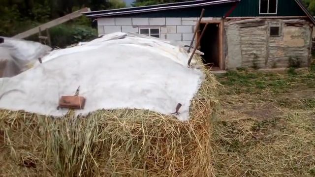 бешеный жигуль//заготовка сена/уборка сенокоса//как перевезти рулоны сена и сложить