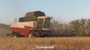 Уборочная-2023. Комбайны Acros 595 Plus с жатками Float Stream 700 на озимой пшенице