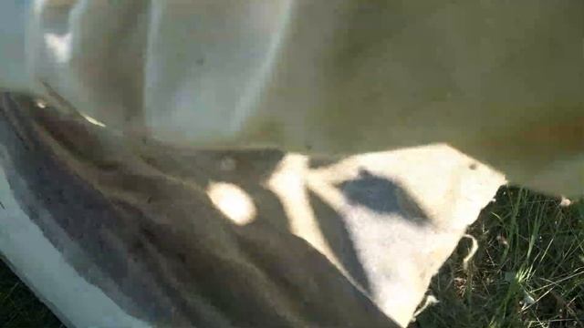 Такого вы ещё не видели на пасеке. Сам не пойму что случилось. смотреть онлайн