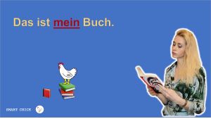 Притяжательные местоимения. Как научиться склонять без зубрёжки?