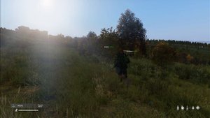 Как читеры себя палят - Админские будни в DayZ