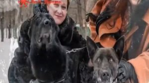 Игорь Наджиев с женой и  собакой