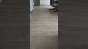 Мейн-кун /Maine Coon (3 мес.) учится приносить мячик