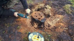 Удаляем пень на участке химикатами.