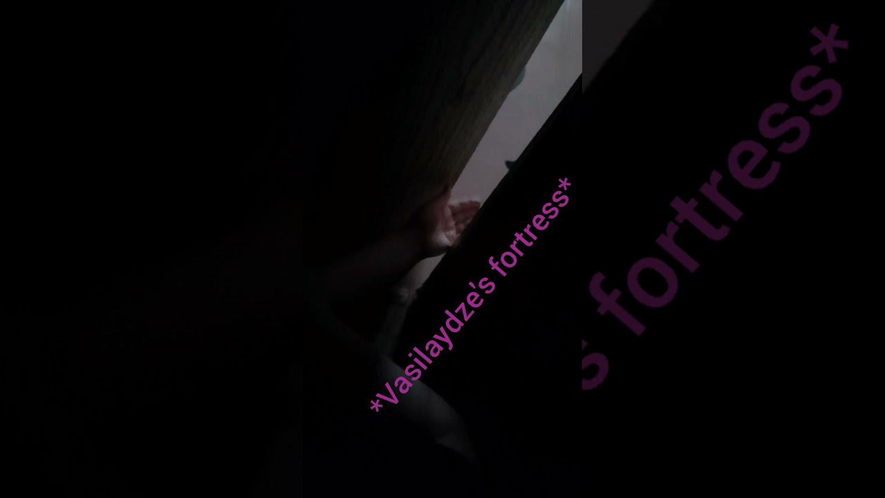 -Second domestic tom cat Vasilydze!