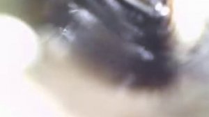 Масло на воздушном коллекторе  ДВС нива, часть 4