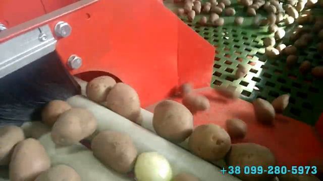 Линия сортировки калибровки картофеля, лука, редиски. Ленточные конвейера, калибраторы смотреть онлайн