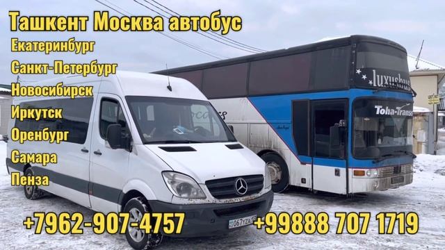 Ташкент Москва автобус Узбекистан Россия автобус нархлари 2023 / Tashkent Moskva avtobus 2023