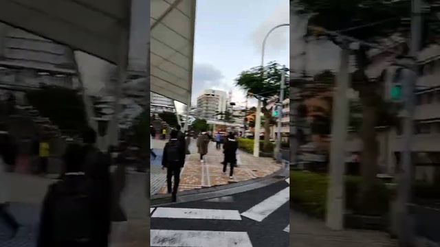 跟我走吧，欣赏日本琉球群岛冲绳那霸市市中心城市街景