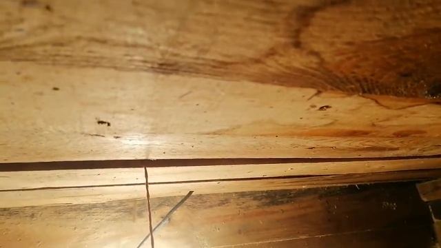 Содержание Бройлеров Кобб-700 зимой. смотреть онлайн