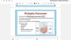 L3 anatomy :(Empryology.)Development of midgut (GIT 42)