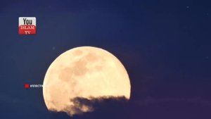 ПРЕЛЮБОДЕЙКА ПРИШЛА К ПРОРОКУ! ТРОГАТЕЛЬНАЯ ИСТОРИЯ _ ИСТОРИЯ ИСЛАМА