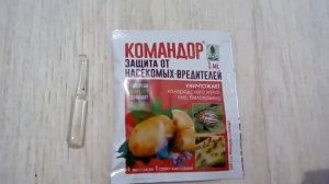 Защита от насекомых- вредителей средство Командор, проверенное временем