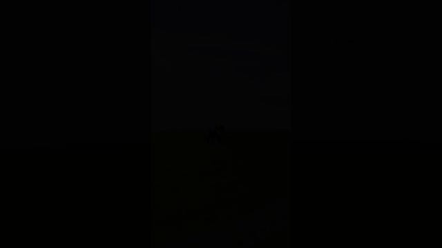 Олеся и Корсар. Весь свет