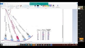Тактика парусных гонок