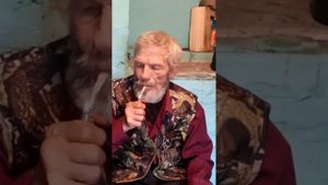 Дед Толя рассказывает о болотном (свинячьем) багульнике.