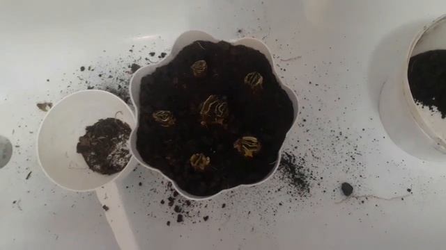 Опять снегопад! Покрасила старую люстру. Вероника в гостях, а коты дерутся. смотреть онлайн