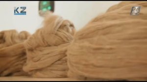 Сделано в Казахстане  О производстве одеял из верблюжьей шерсти online