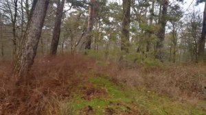 ГСВГ. Аэродром Altes Lager. Территория где были здания казарм,столовая 15.01.2023