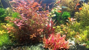 Спасибо детям за подарок!!! Теперь всё будет по другому! ;-)