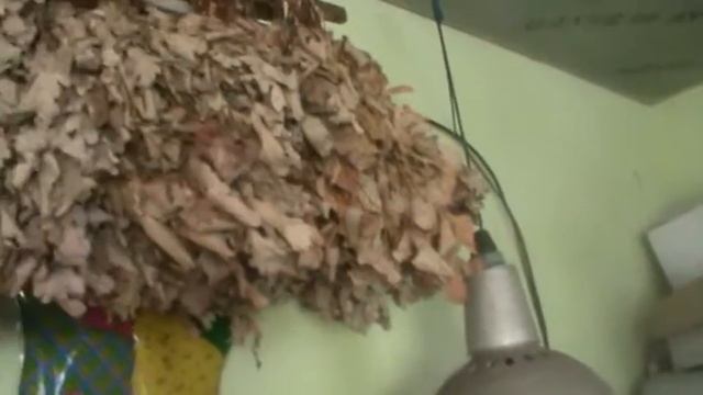 M2U00104 смотреть онлайн