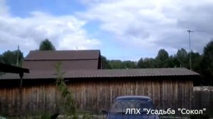 Девичий виноград на шпалере. Крепим сетку для побегов