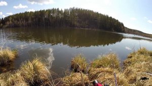 Рыбалка на Карася. Озеро Устюг. Красноярский край, 28.05.2023 г.